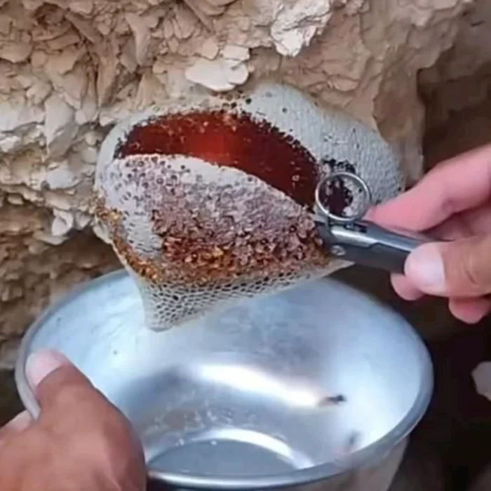 ⁦عسل أبوطويق (ربع كيلو )⁩ - الصورة ⁦3⁩