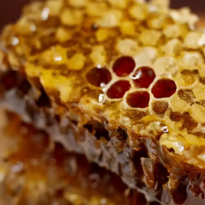 Premium Sedra Honey (1kg) - Image 4